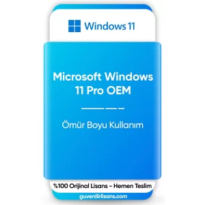 Microsoft Windows 11 Pro OEM Lisans Key